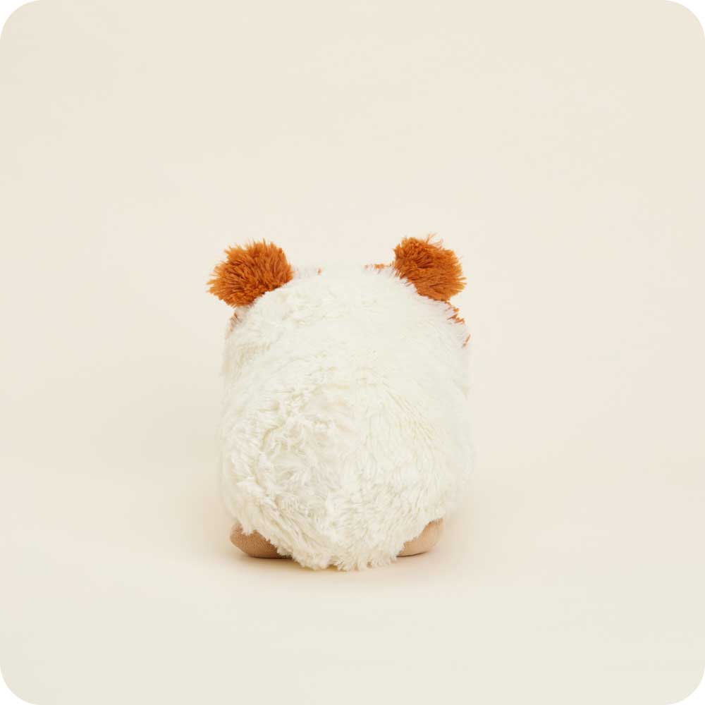 Guinea Pig Warmies