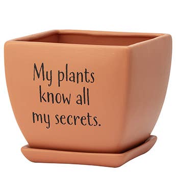 Funny Square Planters Set 3   Plant Lovers Item #14922