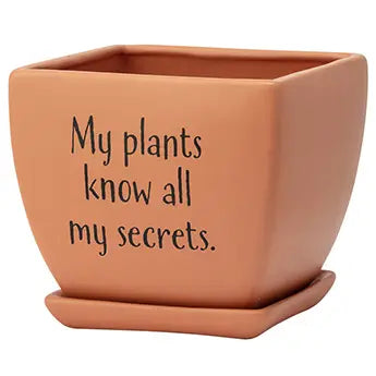 Funny Quote Square Planter Set of 3 – Plant Lover Gift