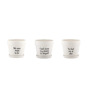 White Planters with Witty Sayings and Saucer Item