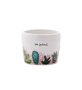 Planter, Cactus/Succulent Item # 34002