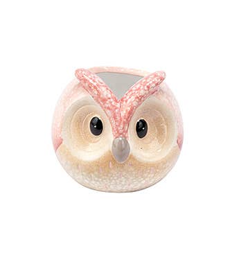 Cute Owl Face Planter - Special  Item # 33876