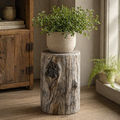 Distressed  Cement Log Display Riser