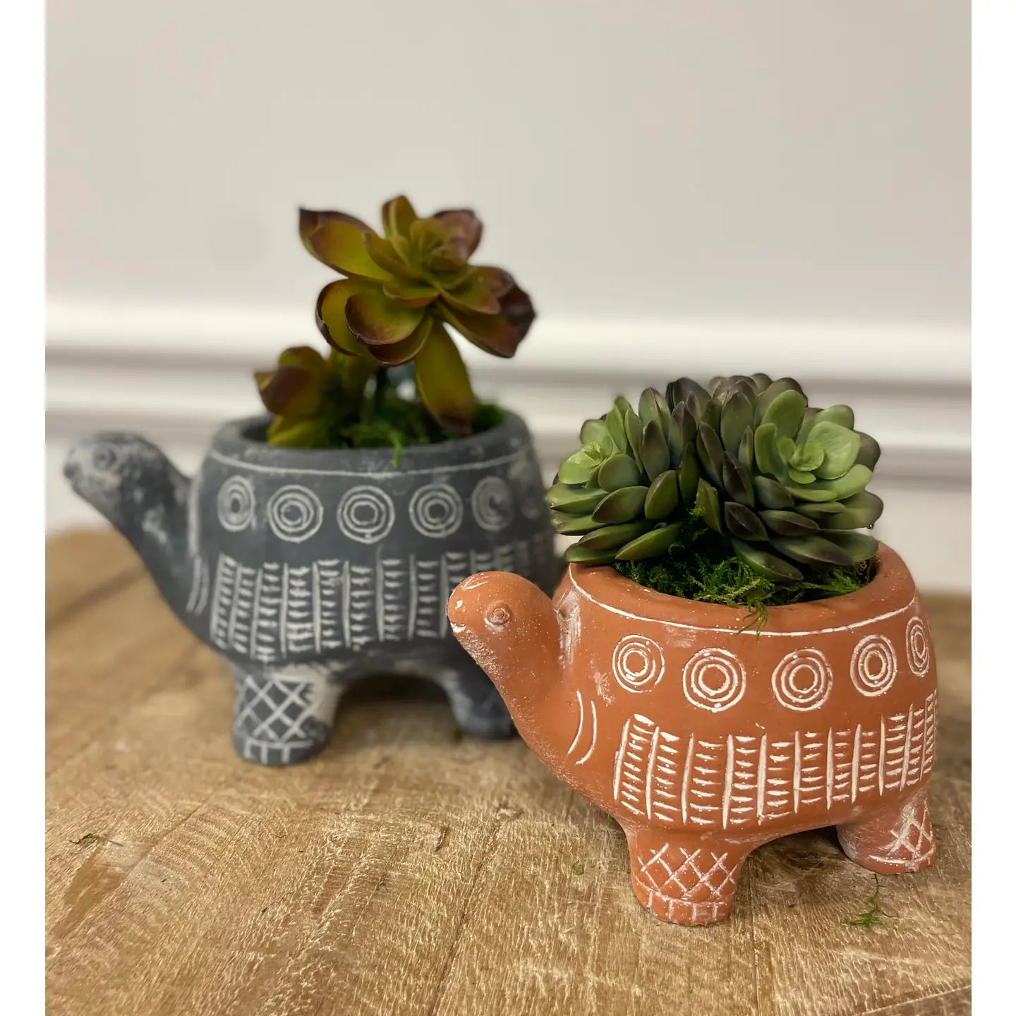Cement Tribal Turtle Planter – Etched Boho Animal Succulent Pot